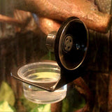 Maxbell Reptile Feeder Suction Cup Food Container for Gecko Bearded Dragon Supplies Black