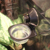 Maxbell Reptile Feeder Suction Cup Food Container for Gecko Bearded Dragon Supplies Black