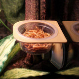 Maxbell Reptile Feeder Suction Cup Food Container for Gecko Bearded Dragon Supplies Yellow