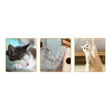 Maxbell Pet Cat Scratcher Pad Bed Scratching Board Scratcher Cardboard Thicken