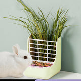 Maxbell 2 in 1 Rabbit Feeder Pets Accessories Detachable for Chinchilla Guinea Pigs Green