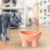 Maxbell Cat Food Bowl Pet Feeding Dish Feeder Nonslip Food Container Pet Spine pink
