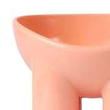 Maxbell Cat Food Bowl Pet Feeding Dish Feeder Nonslip Food Container Pet Spine pink
