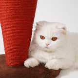 Maxbell Scratcher Pad Platform Carrot Decorative Cat Scratching Post for Playing