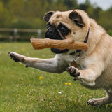 Maxbell Dog Chew Toy Cleaning Puppy Chewing for Small Medium Large Dogs for Exercise