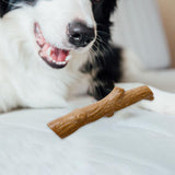 Maxbell Dog Chew Toy Cleaning Puppy Chewing for Small Medium Large Dogs for Exercise