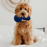 Maxbell Dog Squeaky Chew Toy Bite Resistant Squeaker Cleaning Durable Exercise