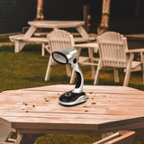 Maxbell 12 LED Desk Lamp Table Lamp Energy Saving Desk Light for Camping Bedroom