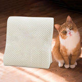 Maxbell Warm Pet Throw Blanket Flannel Doggy Solid Color Adult Couch Winter Beige