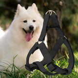 Maxbell Dog Harness and Leash Set Adjustable Comfortable Puppy Vest for Running 1.5cmx120cm