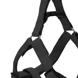 Maxbell Dog Harness and Leash Set Adjustable Comfortable Puppy Vest for Running 2.5cmx120cm