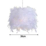 Maxbell Modern Feather Lamp Shade Romantic for Ceiling Light Bedroom Decoration Diameter 11.81inch