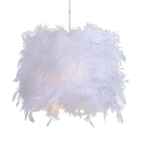Maxbell Modern Feather Lamp Shade Romantic for Ceiling Light Bedroom Decoration Diameter 11.81inch