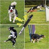 Maxbell Dog Whistle Stainless Steel Portable for Dogs Training Call Back Puppy Black