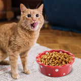 Maxbell Cat Bowl Stable Dog Bowl Cat Food Plate Pets Feeding Station Pet Feeder Red