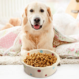 Maxbell Cat Bowl Stable Dog Bowl Cat Food Plate Pets Feeding Station Pet Feeder Beige