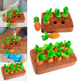 Maxbell Carrot play Developmental Educational Pulling Motor Skill Interaction 6 Carrots