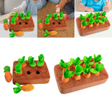 Maxbell Carrot play Developmental Educational Pulling Motor Skill Interaction 6 Carrots