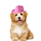 Maxbell Cute Pets Hat Headwear Nonwoven Fabric Soft for party wearing Holiday Pink