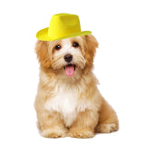 Maxbell Cute Pets Hat Headwear Nonwoven Fabric Soft for party wearing Holiday Yellow