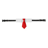 Maxbell Modern Dogs Collar Walking Traveling Pets Gifts Boys Girls Dogs Pet Bow Tie Red