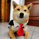 Maxbell Modern Dogs Collar Walking Traveling Pets Gifts Boys Girls Dogs Pet Bow Tie Red