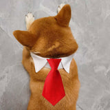 Maxbell Modern Dogs Collar Walking Traveling Pets Gifts Boys Girls Dogs Pet Bow Tie Red
