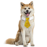 Maxbell Modern Dogs Collar Walking Traveling Pets Gifts Boys Girls Dogs Pet Bow Tie Yellow