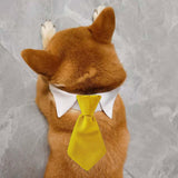 Maxbell Modern Dogs Collar Walking Traveling Pets Gifts Boys Girls Dogs Pet Bow Tie Yellow