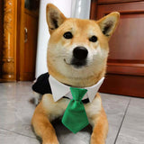 Maxbell Modern Dogs Collar Walking Traveling Pets Gifts Boys Girls Dogs Pet Bow Tie Green