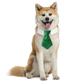 Maxbell Modern Dogs Collar Walking Traveling Pets Gifts Boys Girls Dogs Pet Bow Tie Green