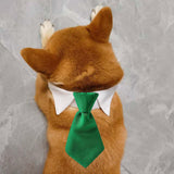 Maxbell Modern Dogs Collar Walking Traveling Pets Gifts Boys Girls Dogs Pet Bow Tie Green