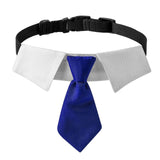 Maxbell Modern Dogs Collar Walking Traveling Pets Gifts Boys Girls Dogs Pet Bow Tie Blue