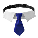 Maxbell Modern Dogs Collar Walking Traveling Pets Gifts Boys Girls Dogs Pet Bow Tie Blue