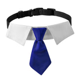 Maxbell Modern Dogs Collar Walking Traveling Pets Gifts Boys Girls Dogs Pet Bow Tie Blue