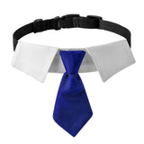 Maxbell Modern Dogs Collar Walking Traveling Pets Gifts Boys Girls Dogs Pet Bow Tie Blue