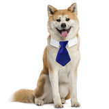 Maxbell Modern Dogs Collar Walking Traveling Pets Gifts Boys Girls Dogs Pet Bow Tie Blue