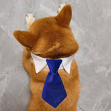 Maxbell Modern Dogs Collar Walking Traveling Pets Gifts Boys Girls Dogs Pet Bow Tie Blue