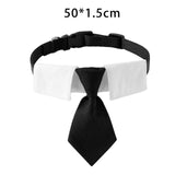 Maxbell Modern Dogs Collar Walking Traveling Pets Gifts Boys Girls Dogs Pet Bow Tie Black