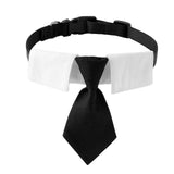 Maxbell Modern Dogs Collar Walking Traveling Pets Gifts Boys Girls Dogs Pet Bow Tie Black