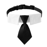 Maxbell Modern Dogs Collar Walking Traveling Pets Gifts Boys Girls Dogs Pet Bow Tie Black