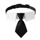 Maxbell Modern Dogs Collar Walking Traveling Pets Gifts Boys Girls Dogs Pet Bow Tie Black