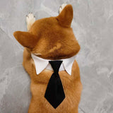 Maxbell Modern Dogs Collar Walking Traveling Pets Gifts Boys Girls Dogs Pet Bow Tie Black