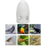 Maxbell Bird Water Drinker Parakeet Chicken Dove Feeder with Hanging Handle White 5L