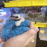Maxbell Sugar Glider Sleeping Bag Pet Supply Portable for Marmosets Winter Hamster Blue