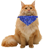 Maxbell Cat Neck Scarf Bandana Accessories Neckerchief Tie Medium Large Dogs Blue