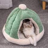 Maxbell Cat Bed for Indoor Cats, Warm Semienclosed Dog Sleeping Bed with Cushion Diameter 35CM Green