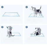 Maxbell 40Pcs Thickness Pet Pee Pad Non Woven Fabric Urine Pad Dog Training Pads