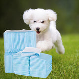 Maxbell 40Pcs Thickness Pet Pee Pad Non Woven Fabric Urine Pad Dog Training Pads