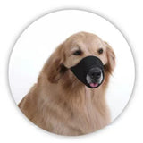 Maxbell Pet Dog Muzzle Durable Mouth Cover Prevent Chewing Breathable for Small Dogs Black